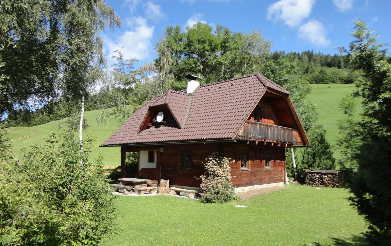 Die Petzl Huette - Kreischbergblick Kaindorf  Exteriör bild